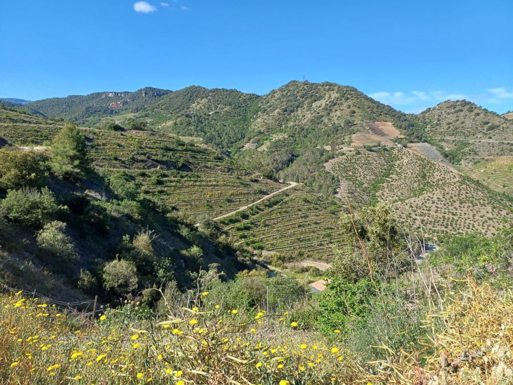 Vista del Priorat